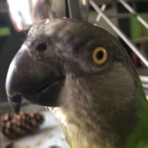 Meet your Posher, Tracy